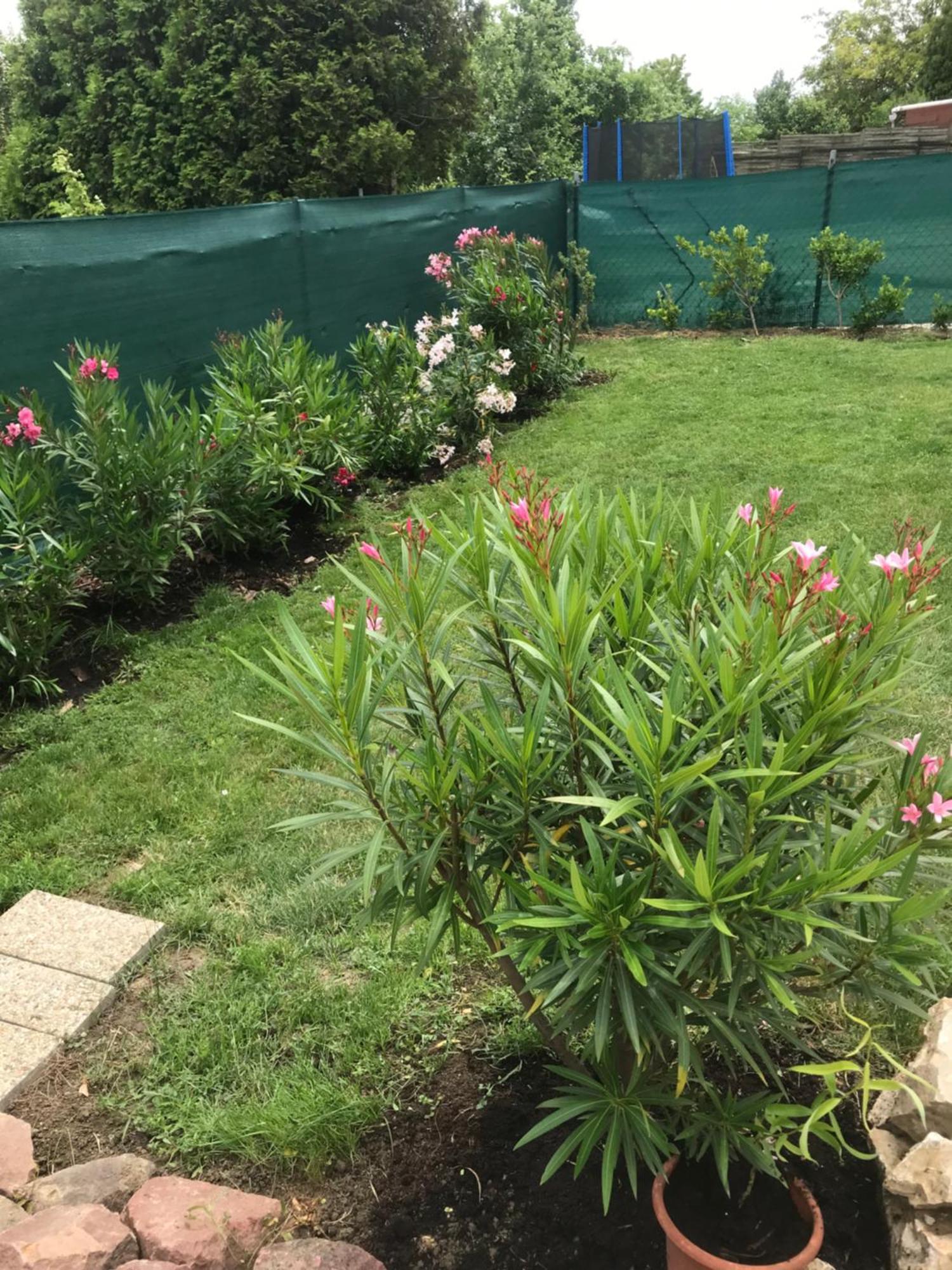 Ferienwohnung Kisvakond Vendeghaz Jeno Exterior foto